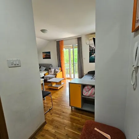Nena Lux Apartment Soko Banja